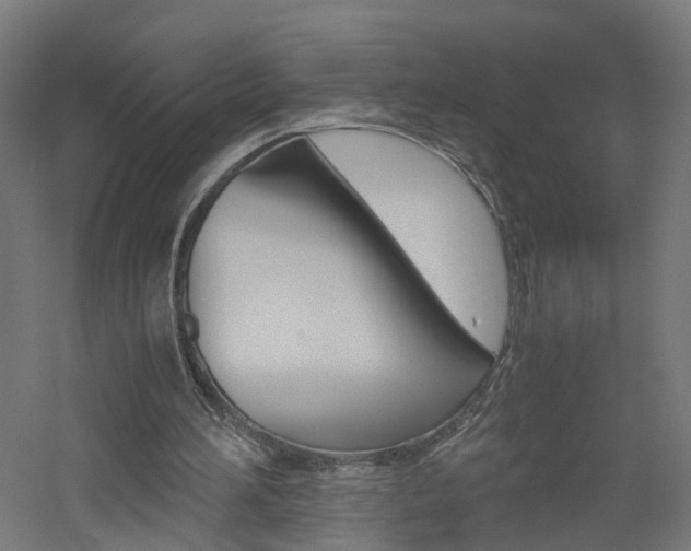 X0000060780196200511101017