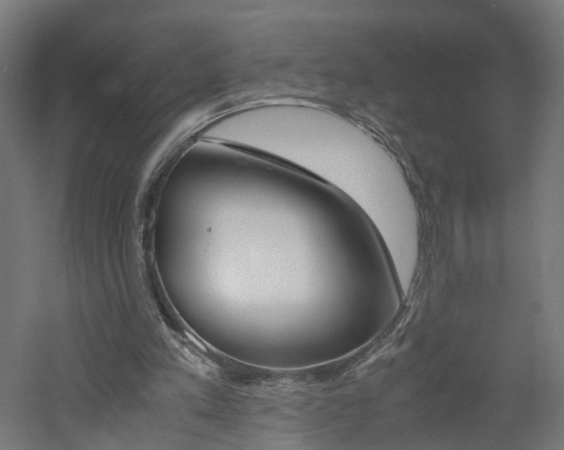 X0000060780197200511101017