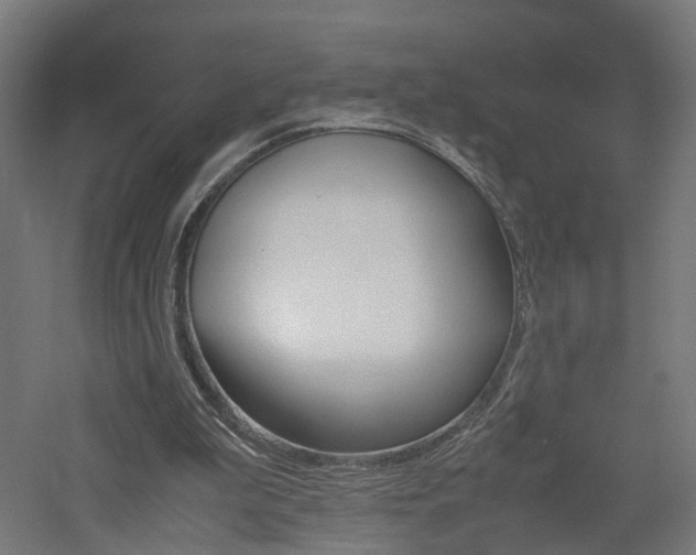 X0000060780199200511101017