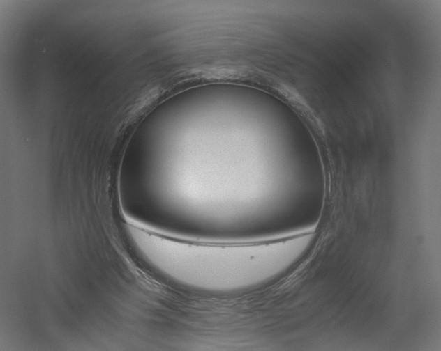 X0000060780201200511101017