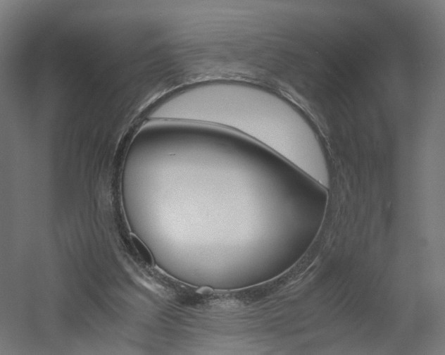 X0000060780203200511101017