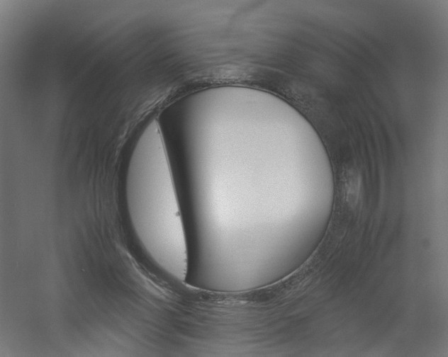 X0000060780206200511101017
