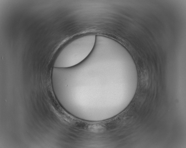 X0000060780208200511101017