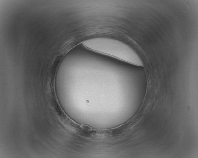 X0000060780209200511101017