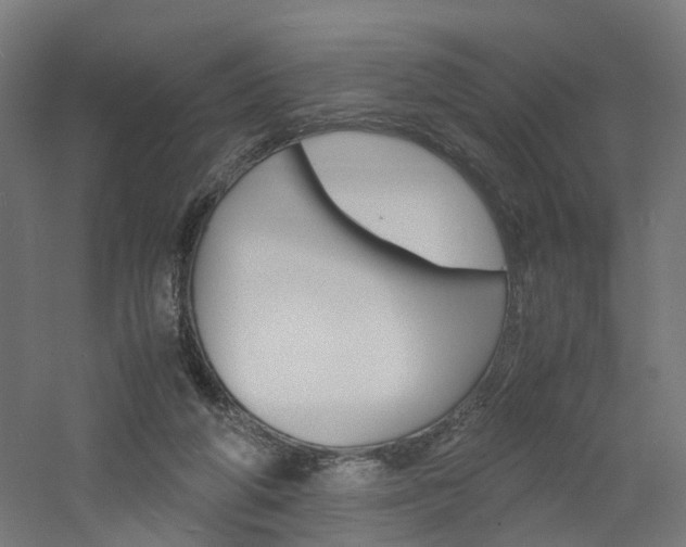 X0000060780210200511101017
