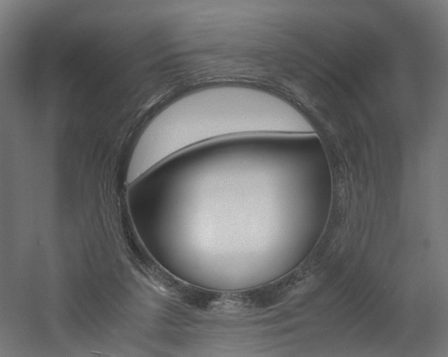 X0000060780211200511101017