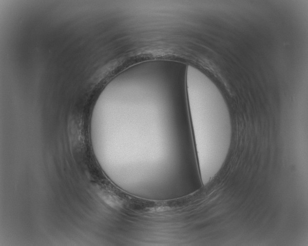 X0000060780212200511101017