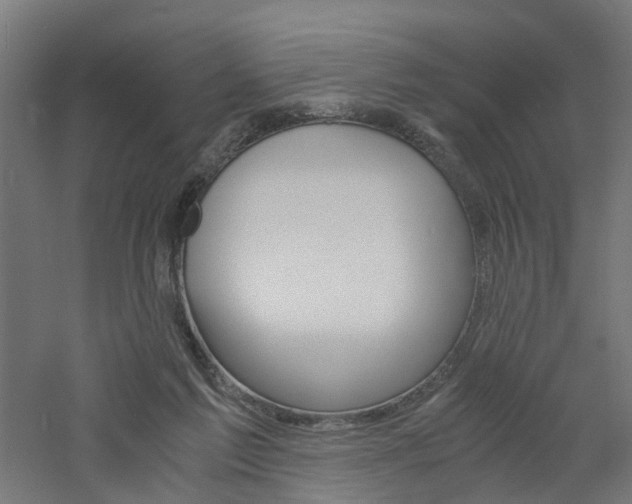 X0000060780213200511101017