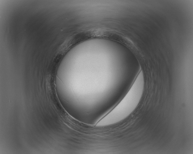 X0000060780217200511101017