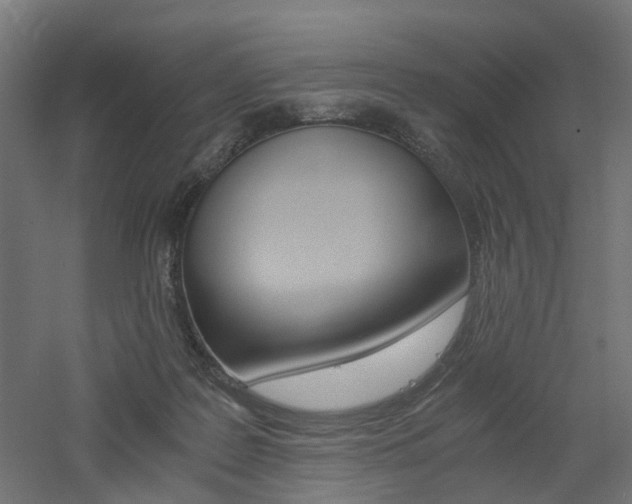 X0000060780219200511101016