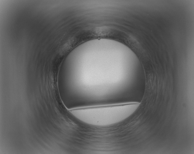 X0000060780220200511101016