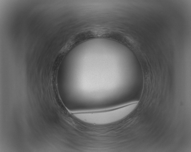 X0000060780221200511101016
