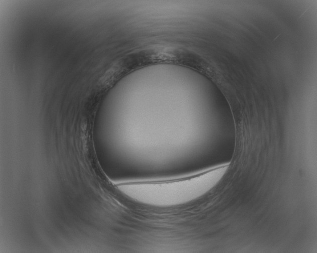 X0000060780223200511101016