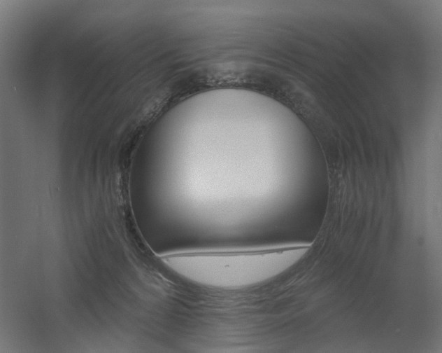 X0000060780224200511101016