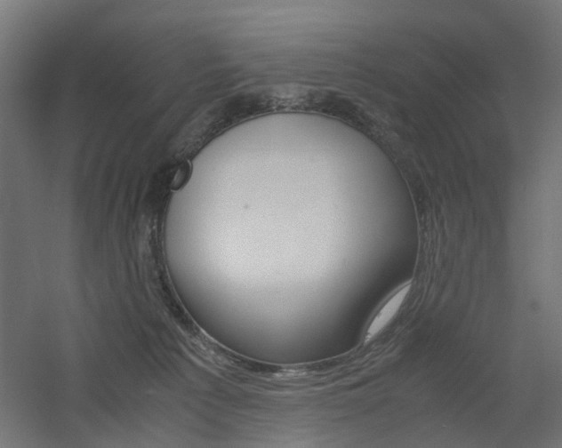 X0000060780225200511101016
