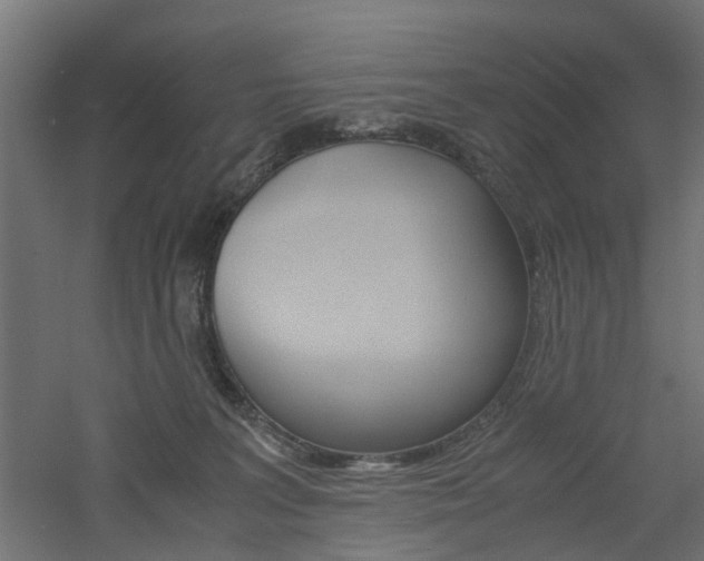 X0000060780227200511101016