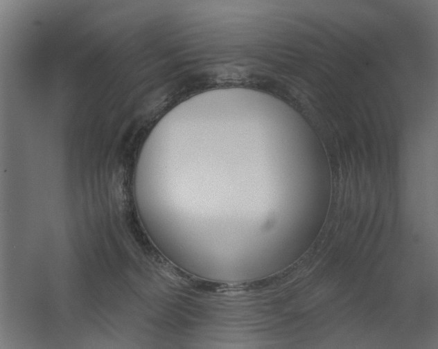 X0000060780228200511101016