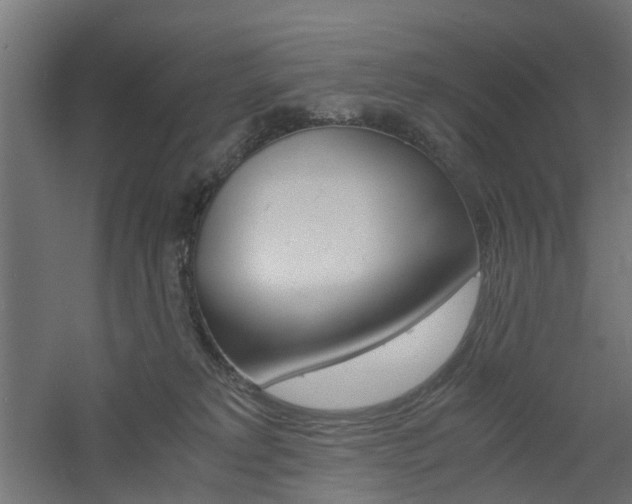 X0000060780229200511101016