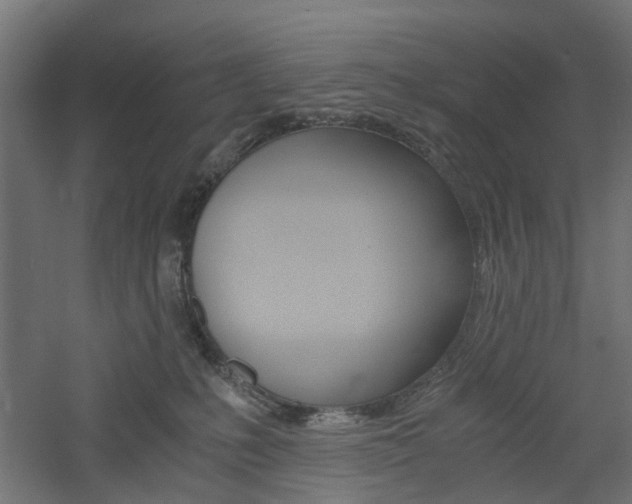 X0000060780231200511101016