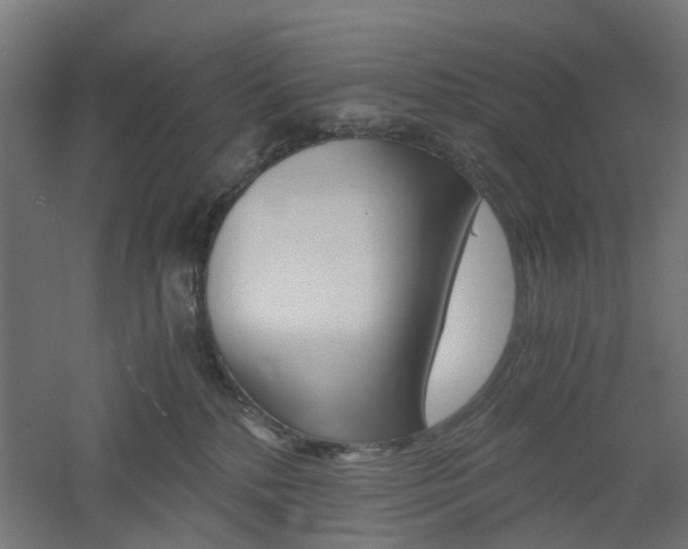 X0000060780232200511101016