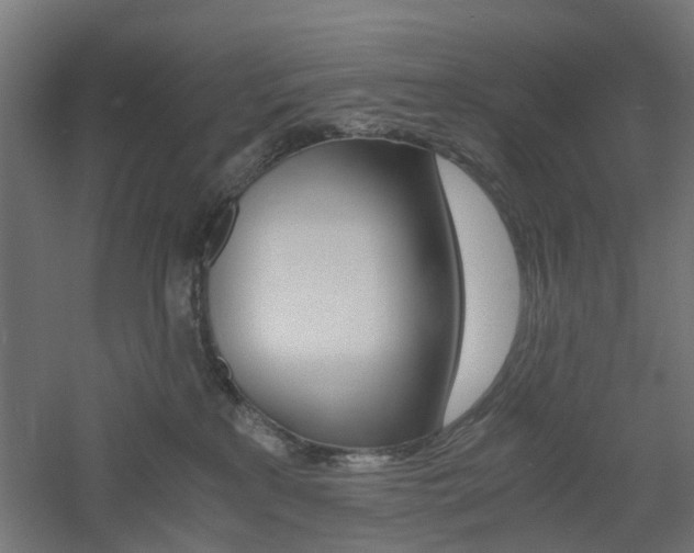 X0000060780233200511101016