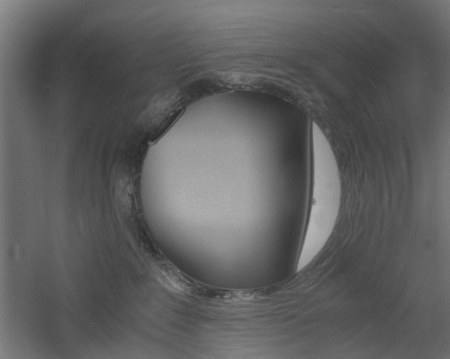 X0000060780235200511101016