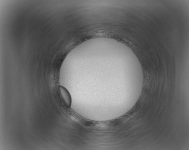 X0000060780236200511101016