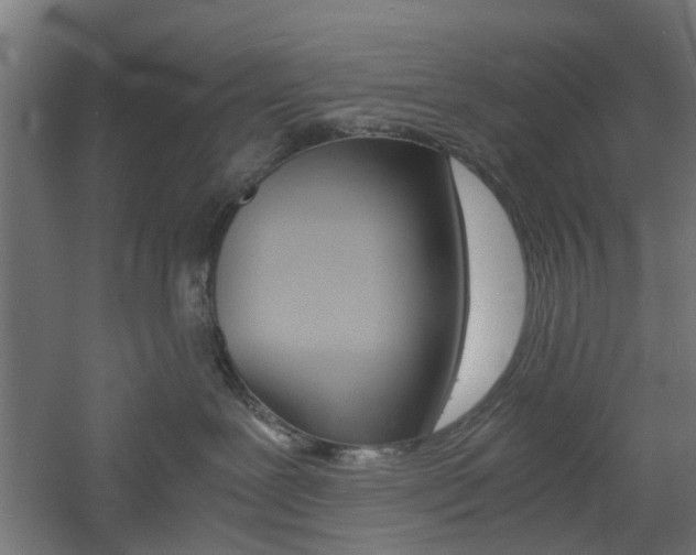 X0000060780239200511101016