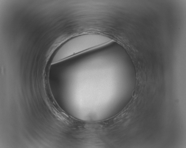X0000060780242200511101015