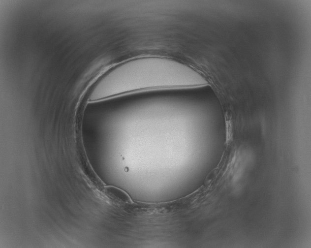 X0000060780243200511101015