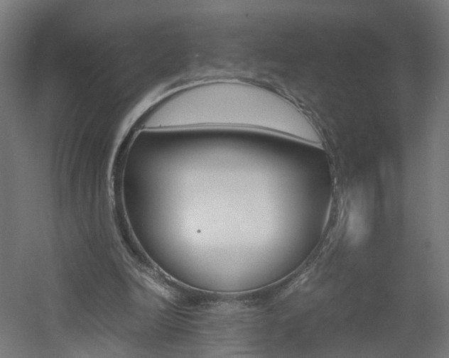 X0000060780246200511101015