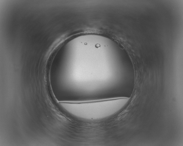 X0000060780247200511101015