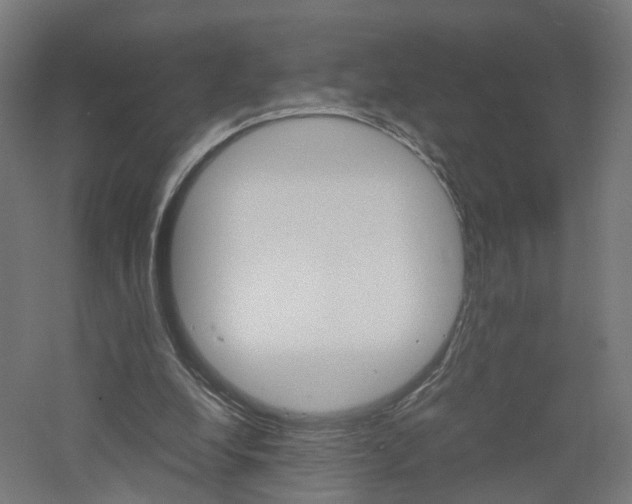 X0000060780248200511101015