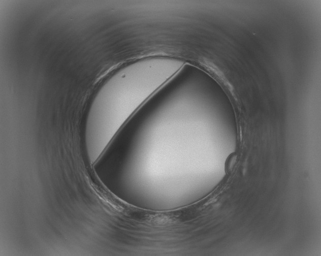 X0000060780249200511101015