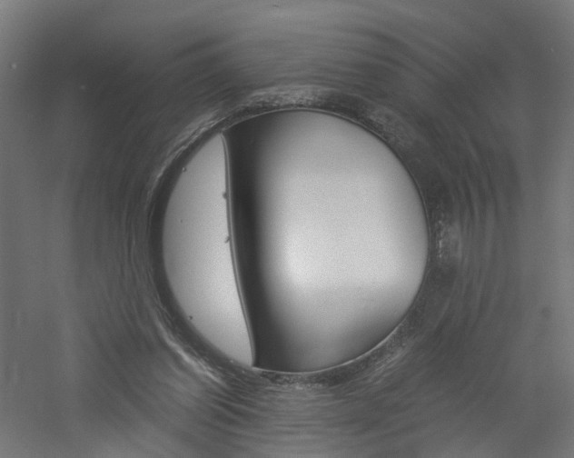 X0000060780254200511101016