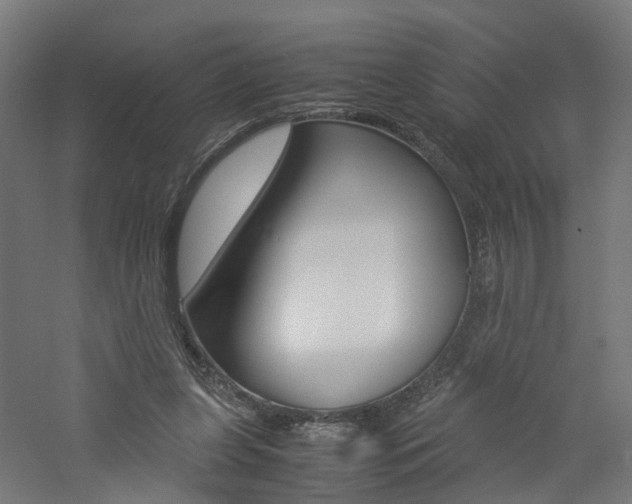 X0000060780255200511101016