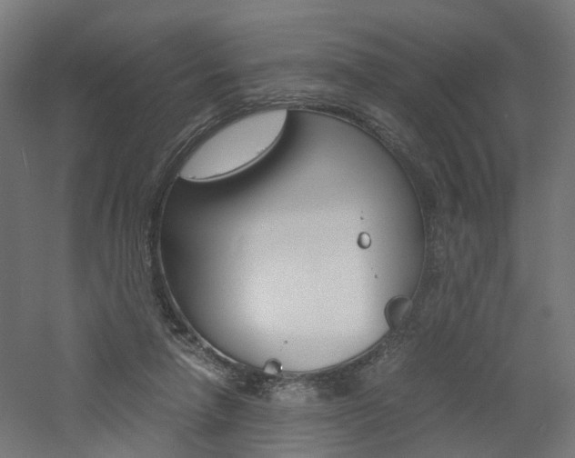 X0000060780258200511101016