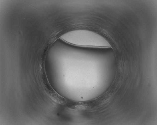 X0000060780259200511101016
