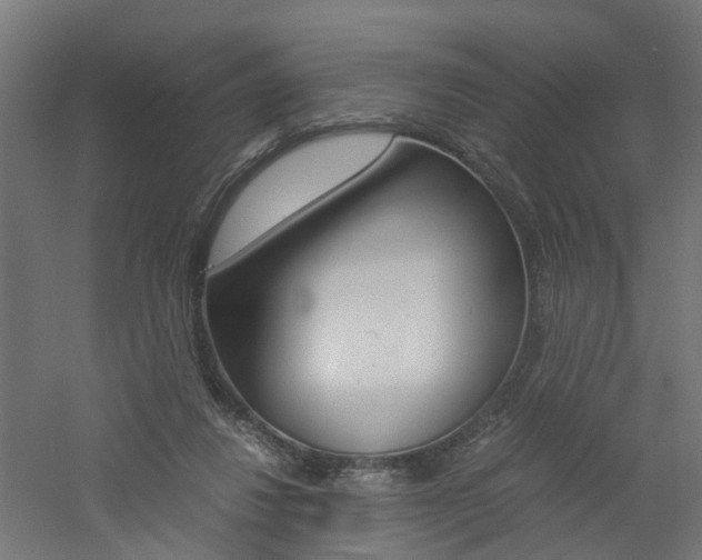 X0000060780260200511101016