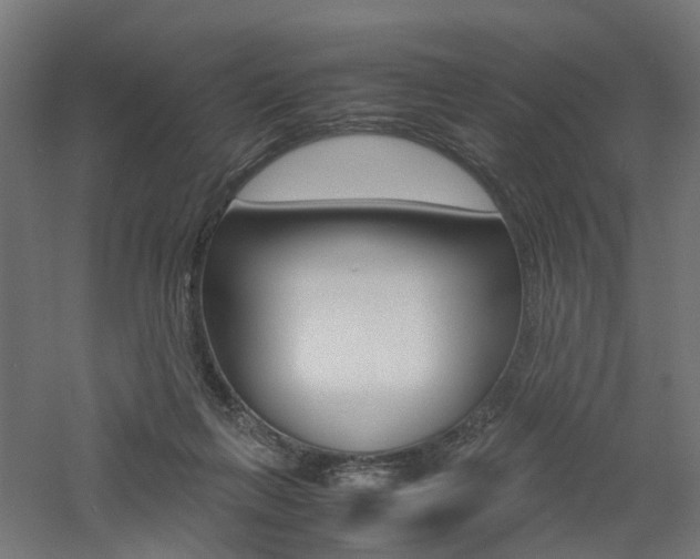X0000060780263200511101016