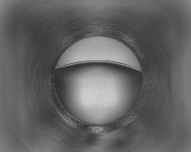X0000060780265200511101016