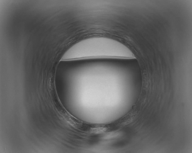 X0000060780266200511101016