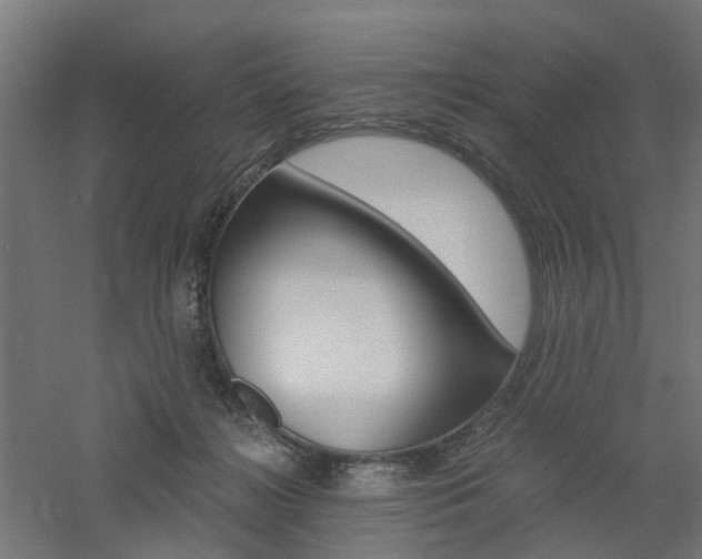 X0000060780268200511101016