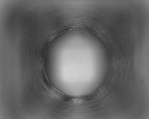 X0000060780272200511101016