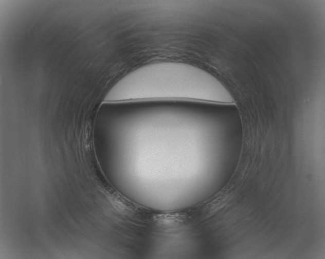 X0000060780273200511101016
