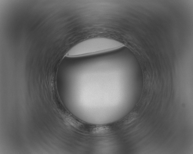 X0000060780274200511101016