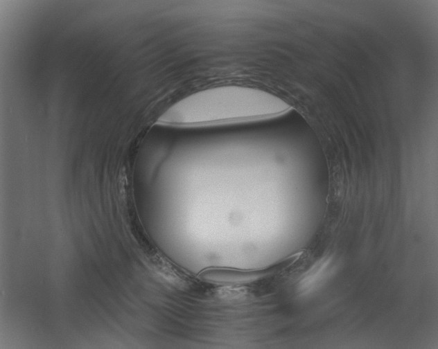 X0000060780279200511101016