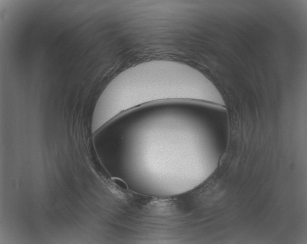 X0000060780280200511101016
