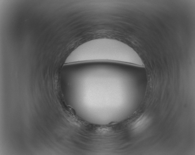 X0000060780283200511101016