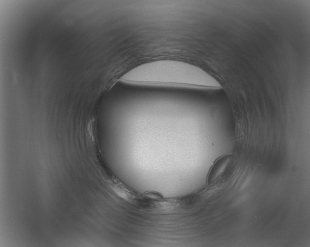 X0000060780286200511101016